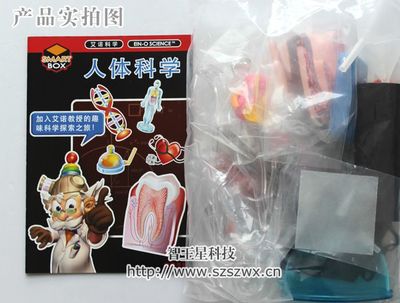 探索人体的奥秘 COG艾诺科学人体科学实验玩具评测