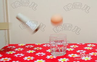 动手玩科学 揭秘'鸡蛋跳水'实验，探索惯性奥秘